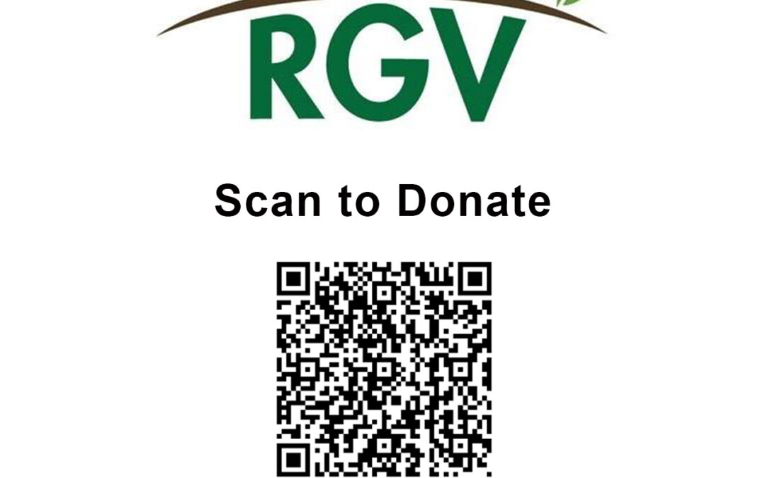 Give the Gift of a Brighter Future This GivingTuesday & Holiday Season with Futuro RGV